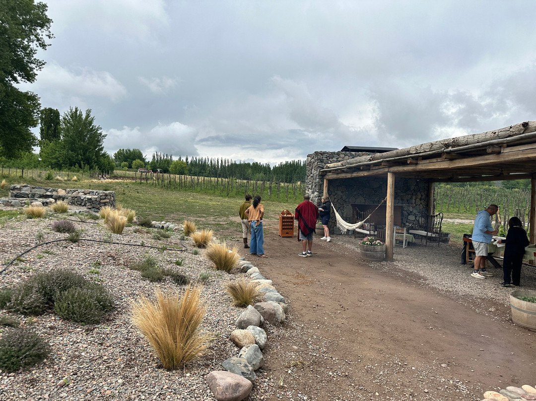 Vintura Wine Tours景点图片