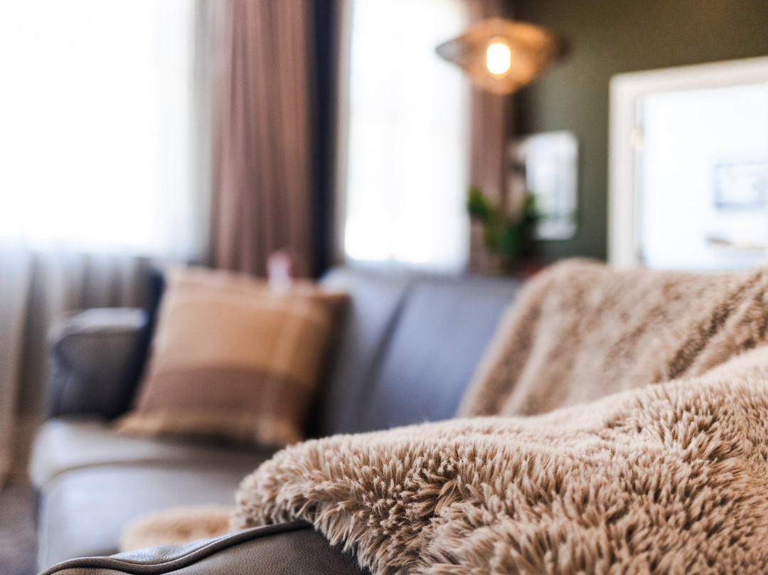 白天鹅酒店主图