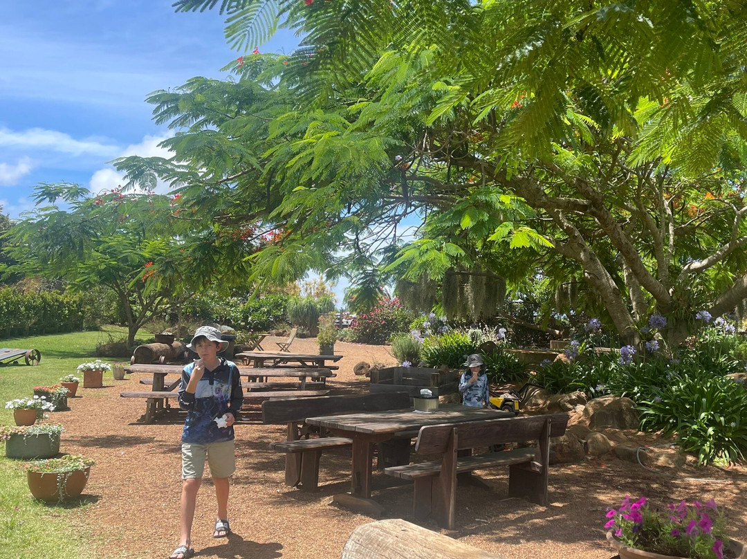 Tinaberries景点图片