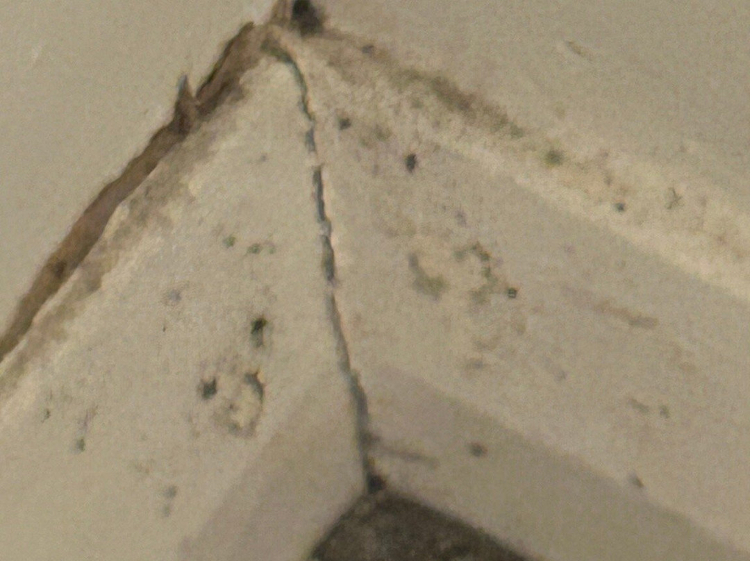 兰开斯特普瑞米尔酒店主图