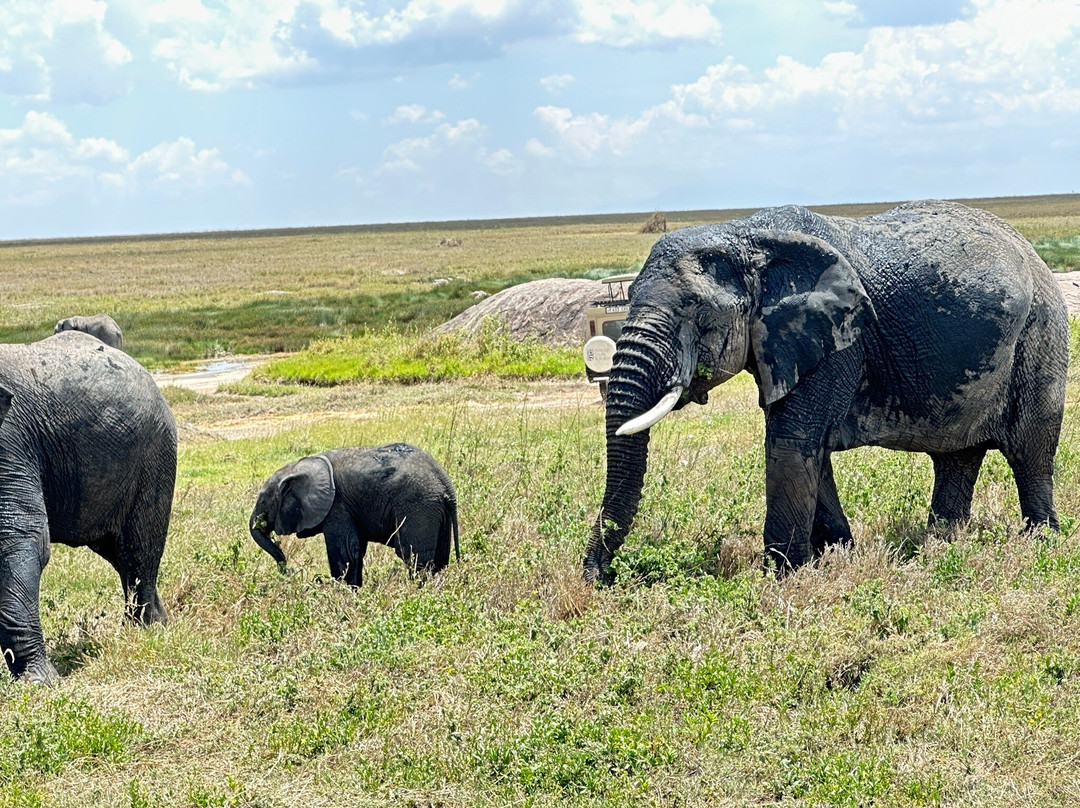 Extreme Expedition Tours-卡拉图必去景点