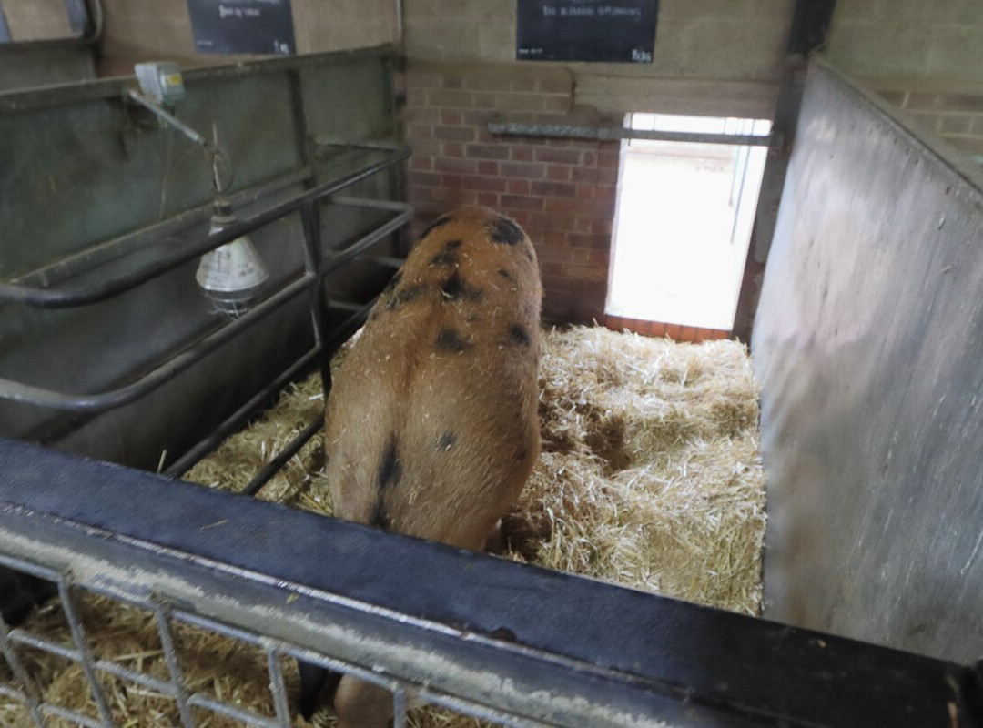 Wimpole Home Farm-Arrington必去景点