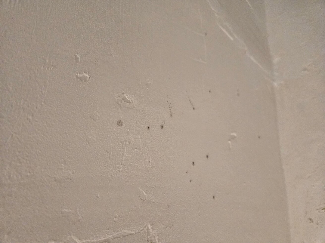 Quality Inn Casa Grande I-10主图