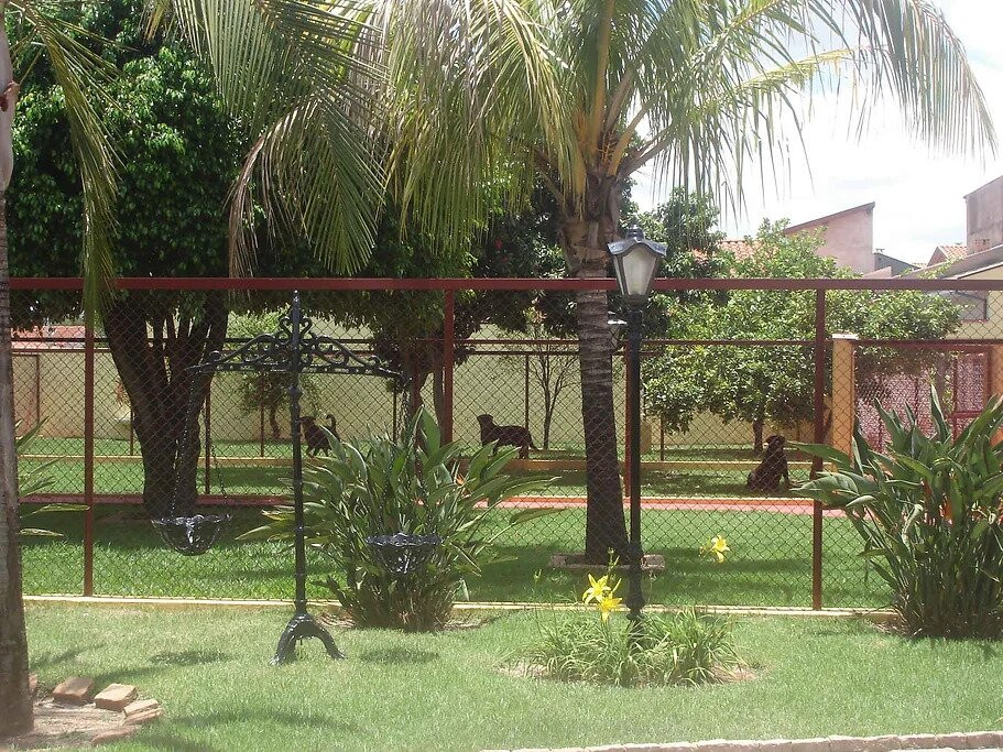 Di Ferraresi Rottweilers-Mococa必去景点