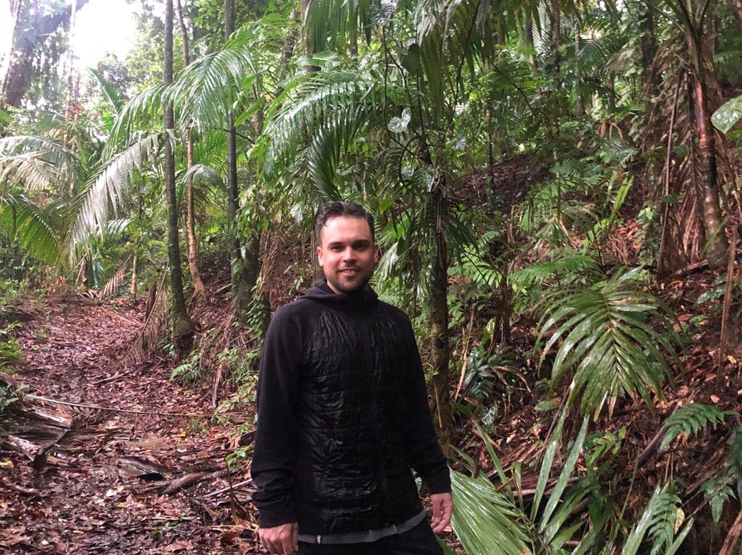 Tobago Main Ridge Forest Reserve-多巴哥必去景点