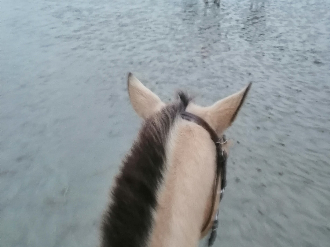 Grand Galop Rennes景点图片