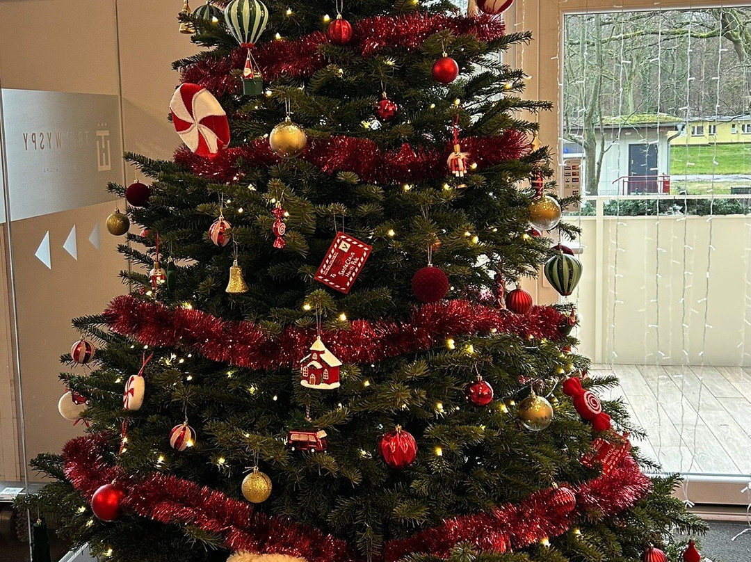 Trzy Wyspy Hotel & Spa主图