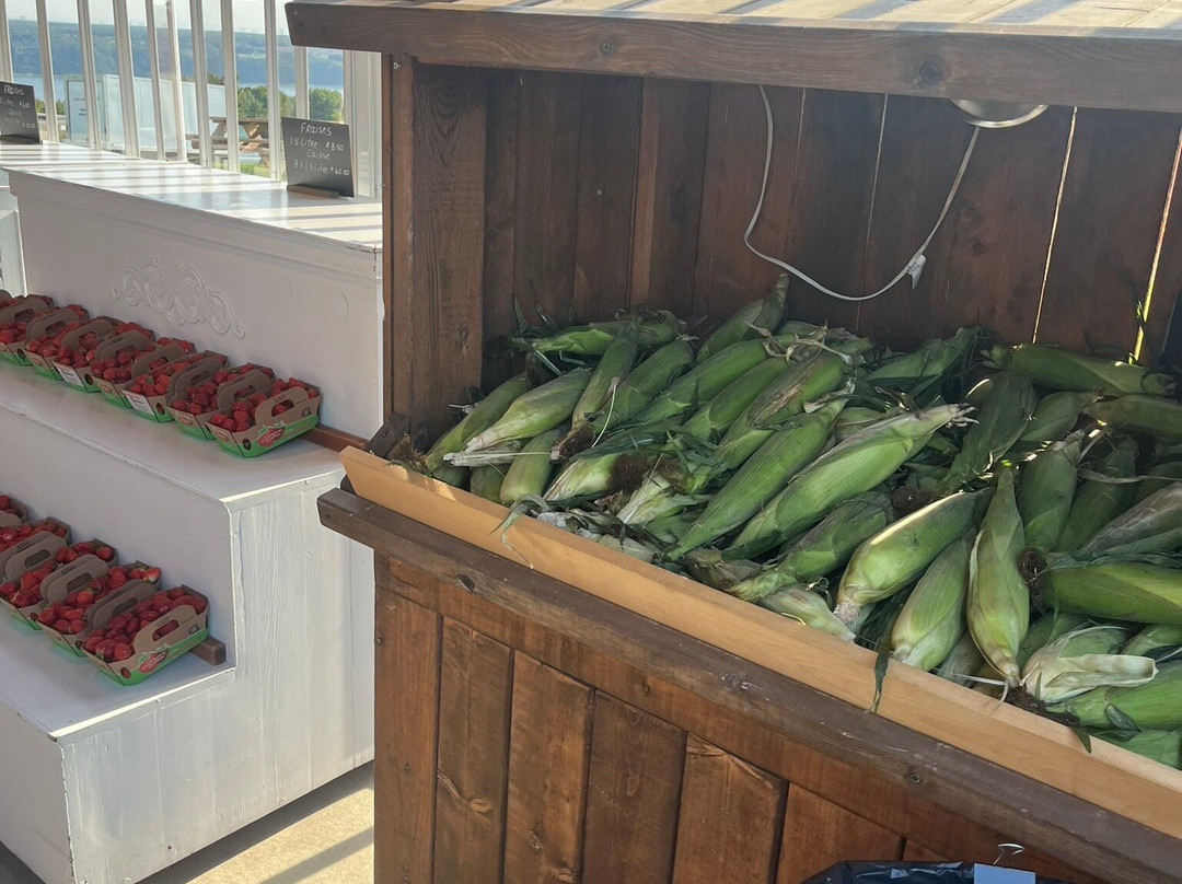 Ferme Francois Gosselin-Saint-Laurent-de-l'Ile-d'Orleans必去景点