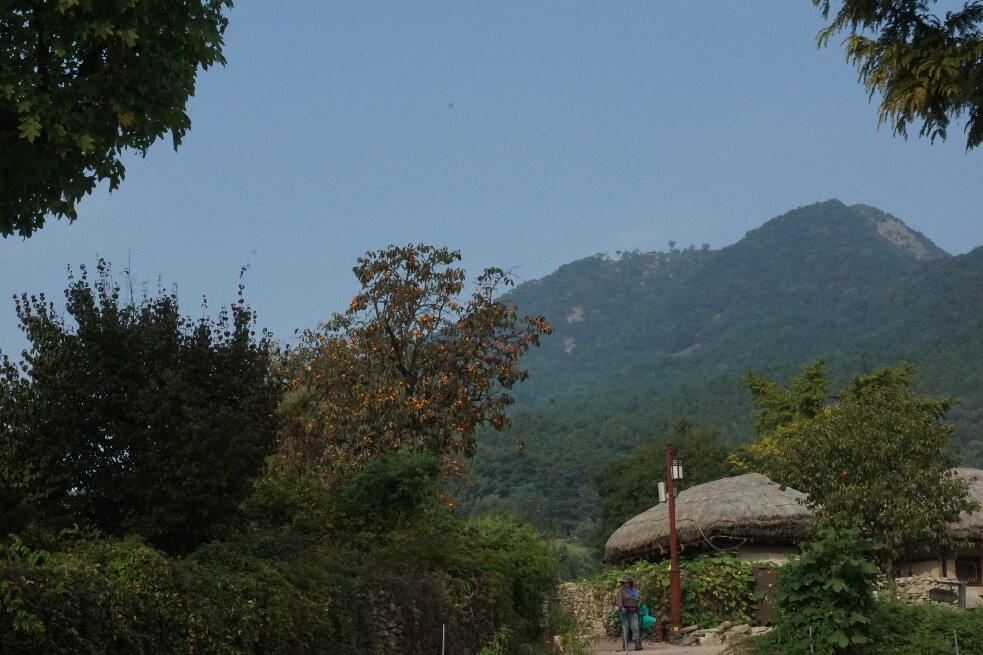 Oeam Folk Village-牙山市必去景点