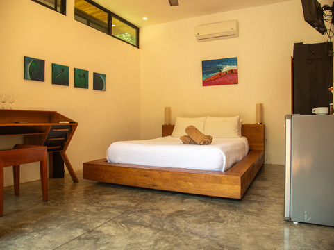 The White Palms of Nosara