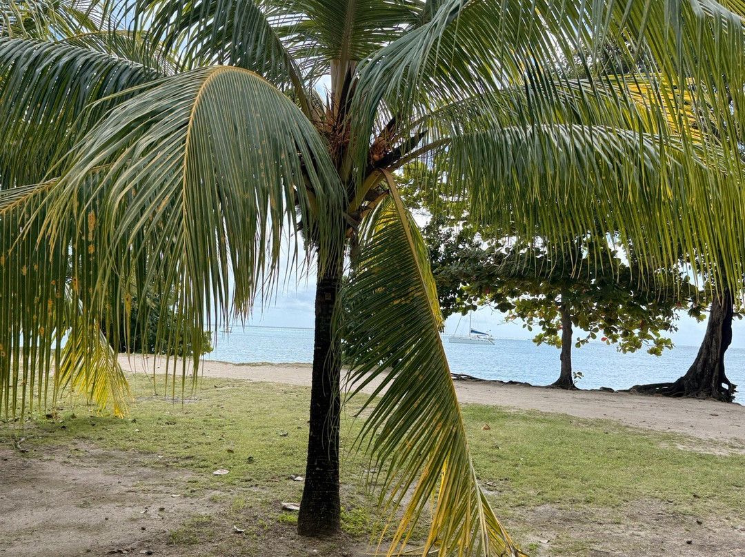 Jet AL' o-圣吕斯必去景点