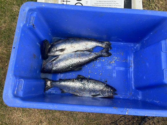 Hook Wanaka-瓦纳卡必去景点