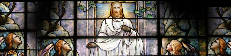 St. Aloysius Roman Catholic Church景点图片