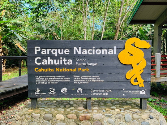 Red Frog Tours-利蒙港必去景点