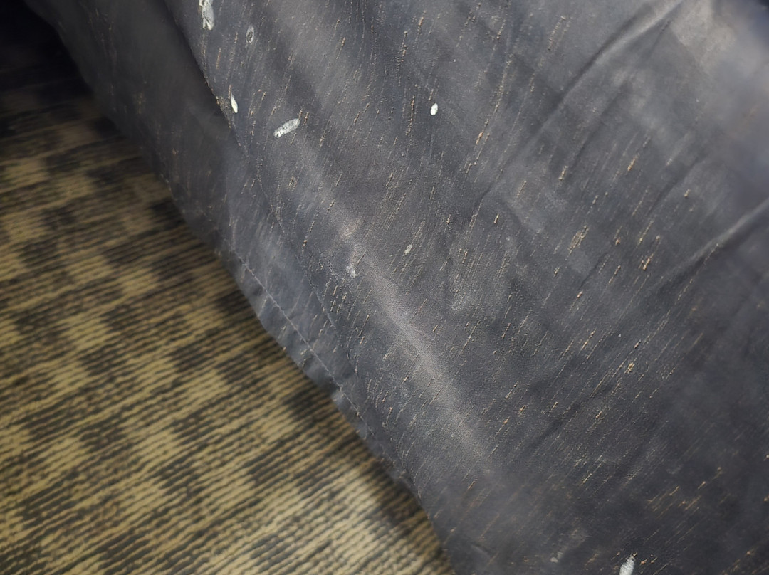 芝加哥麦特森别墅酒店主图