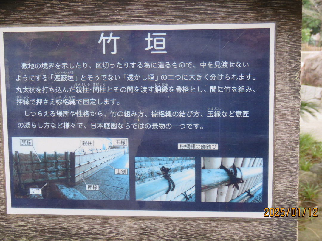 Togoshi Park-品川区必去景点