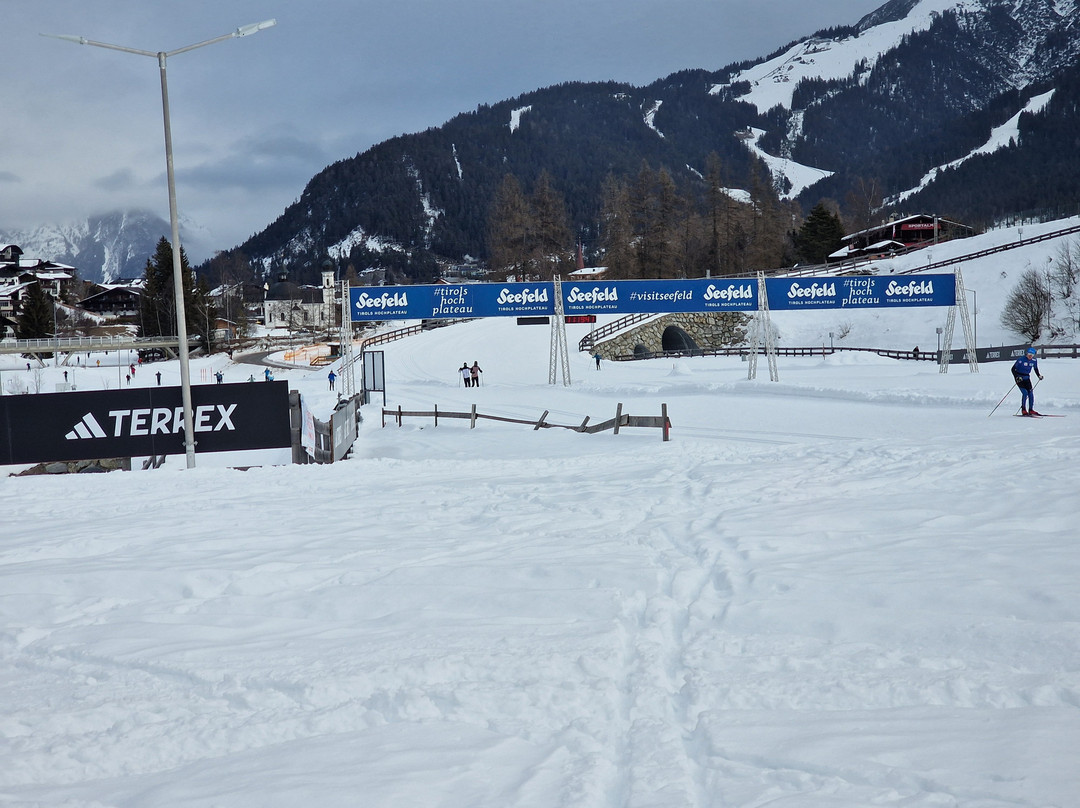 Cross Country Academy景点图片