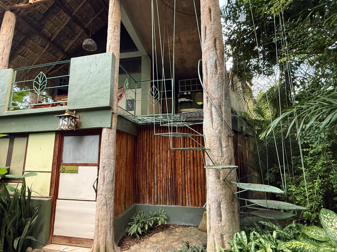 Genesis Eco Oasis主图