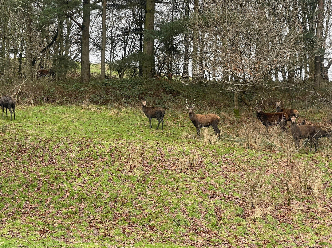Shrigley Hall Golf Course-Pott Shrigley必去景点