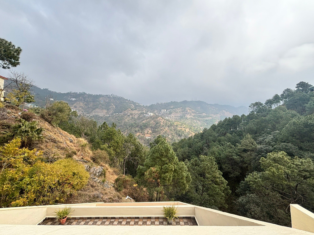 Misty Meadows Resorts主图