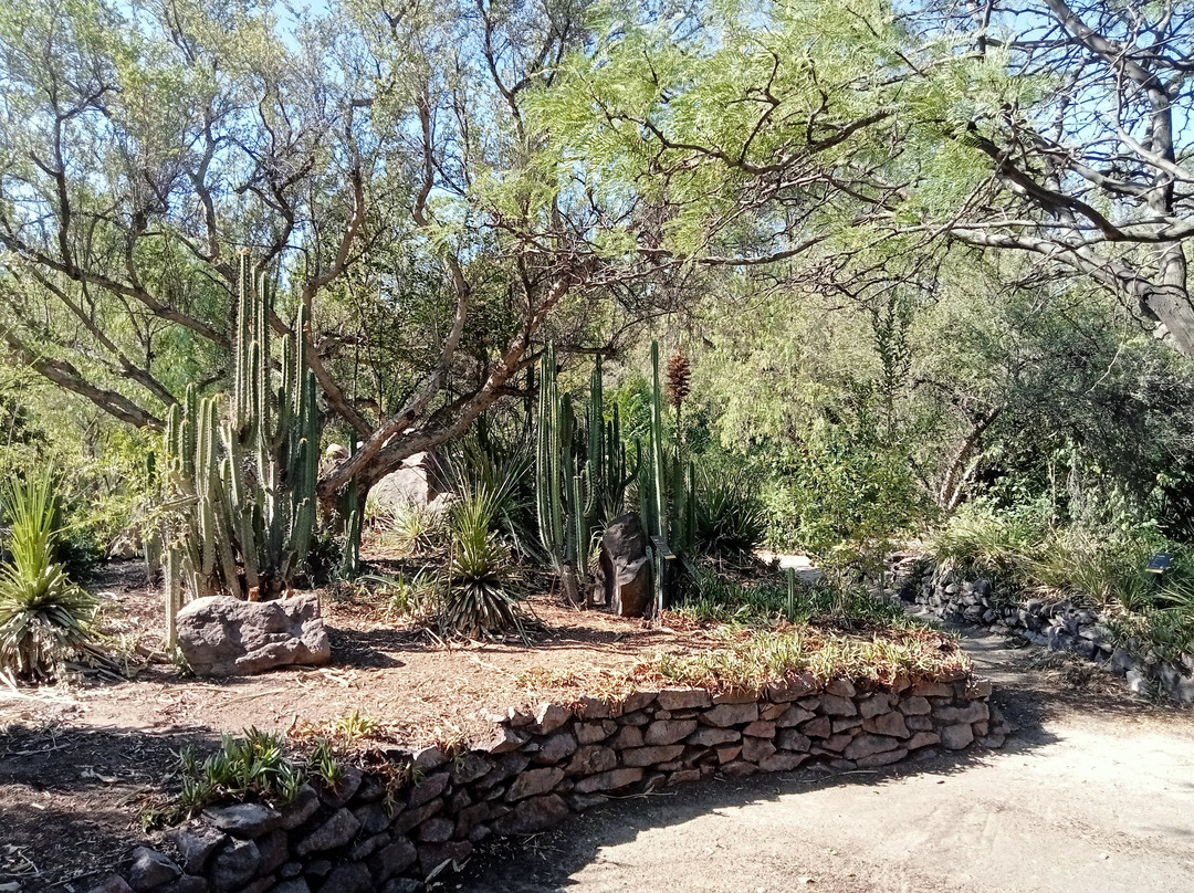 Jardín Botánico Mapulemu-圣地亚哥必去景点