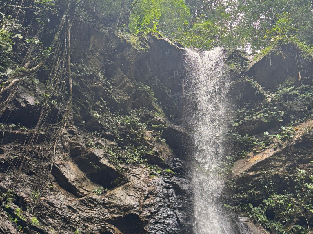 Avocat Waterfall-Blanchisseuse必去景点