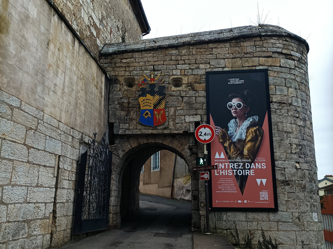 Musée du Château des Ducs de Wurtemberg景点图片