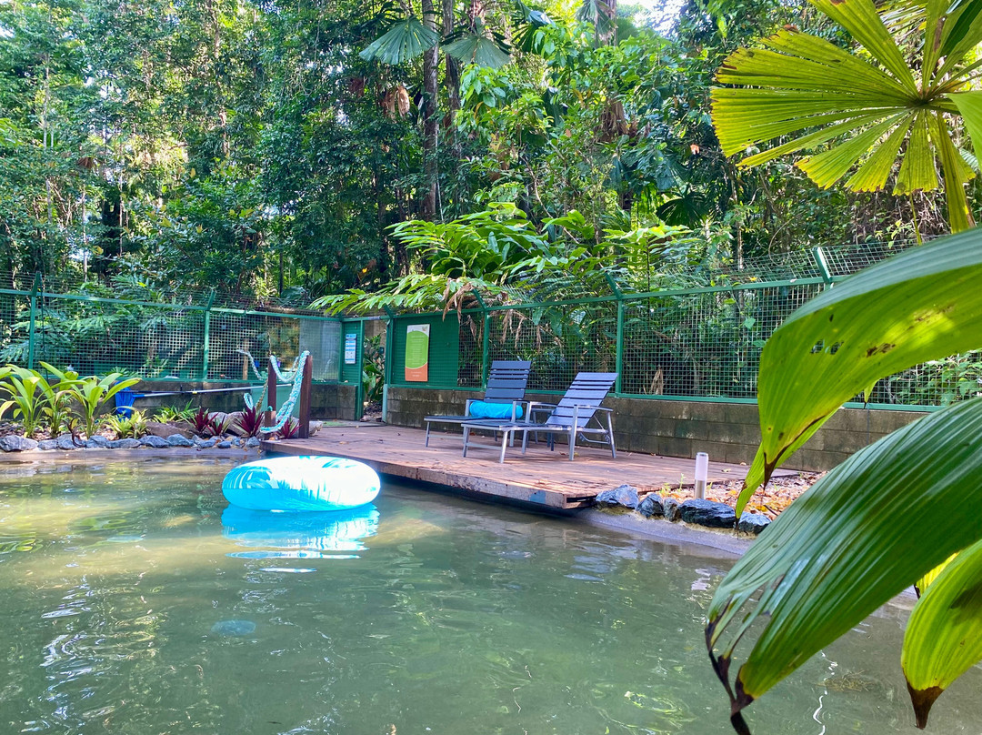 Daintree Siesta主图