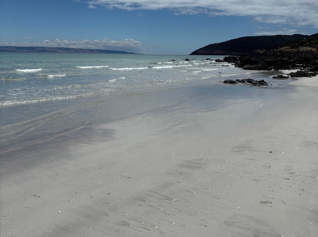 Penneshaw Beach-袋鼠岛必去景点