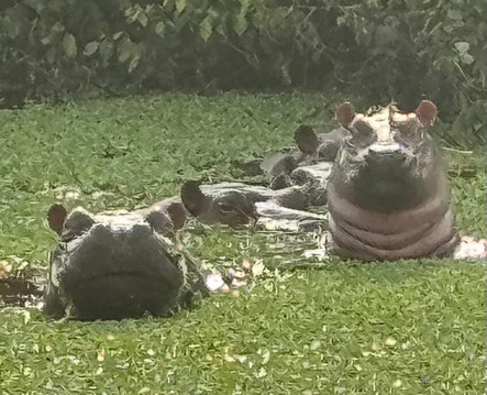 Orango National Park-Bissau必去景点