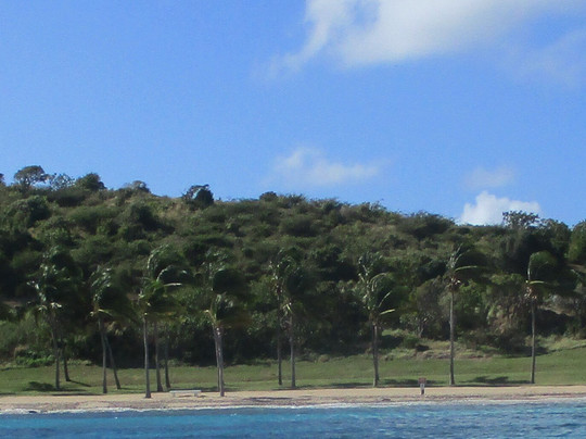 Bama Breeze VI-夏洛特阿马利亚必去景点