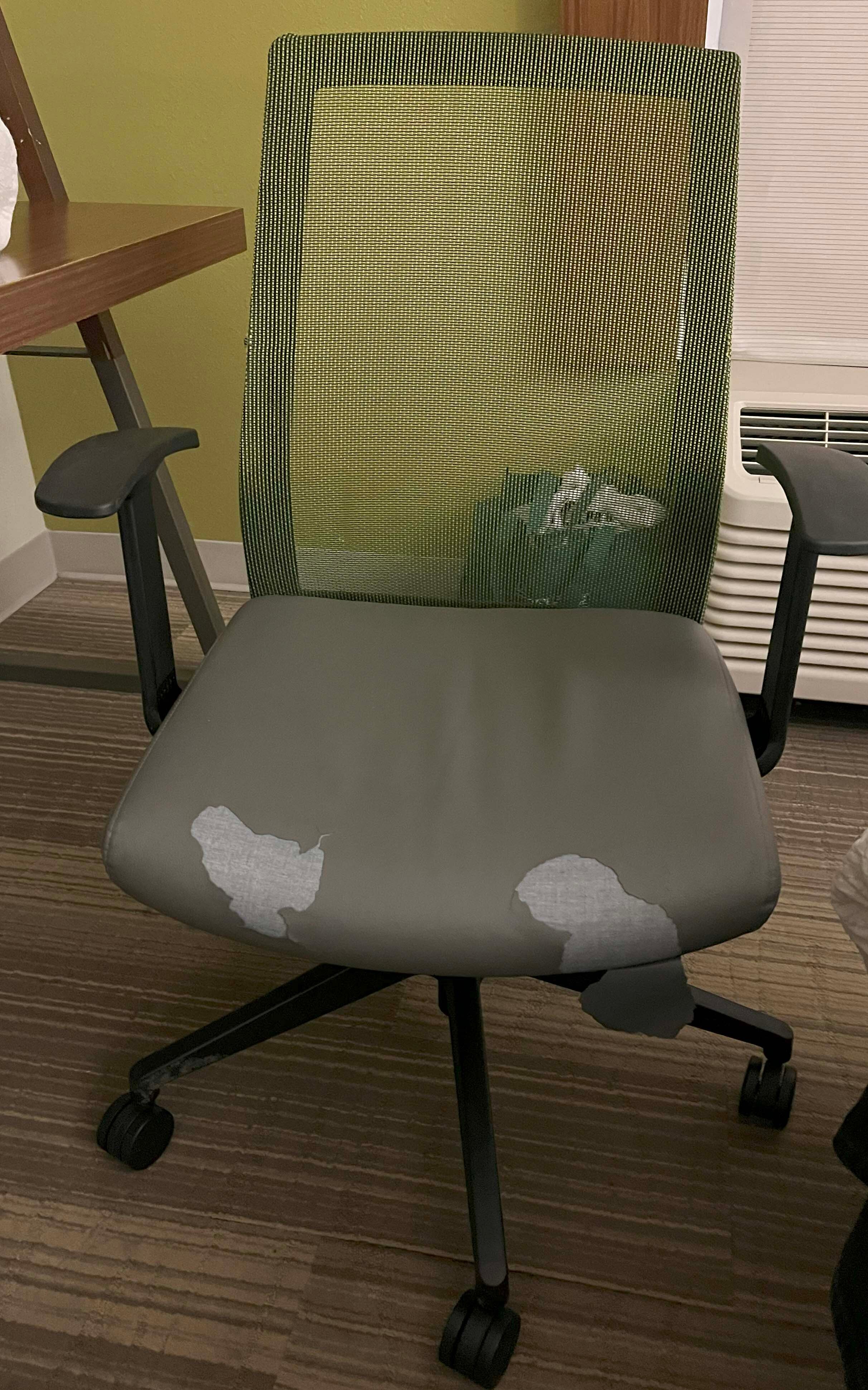 纽波特纽斯假日酒店及套房-客卧