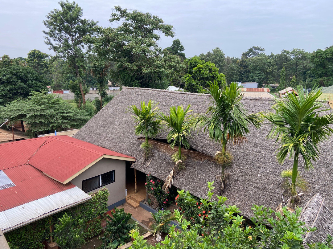 Kilimanjaro Scenic Lodge主图