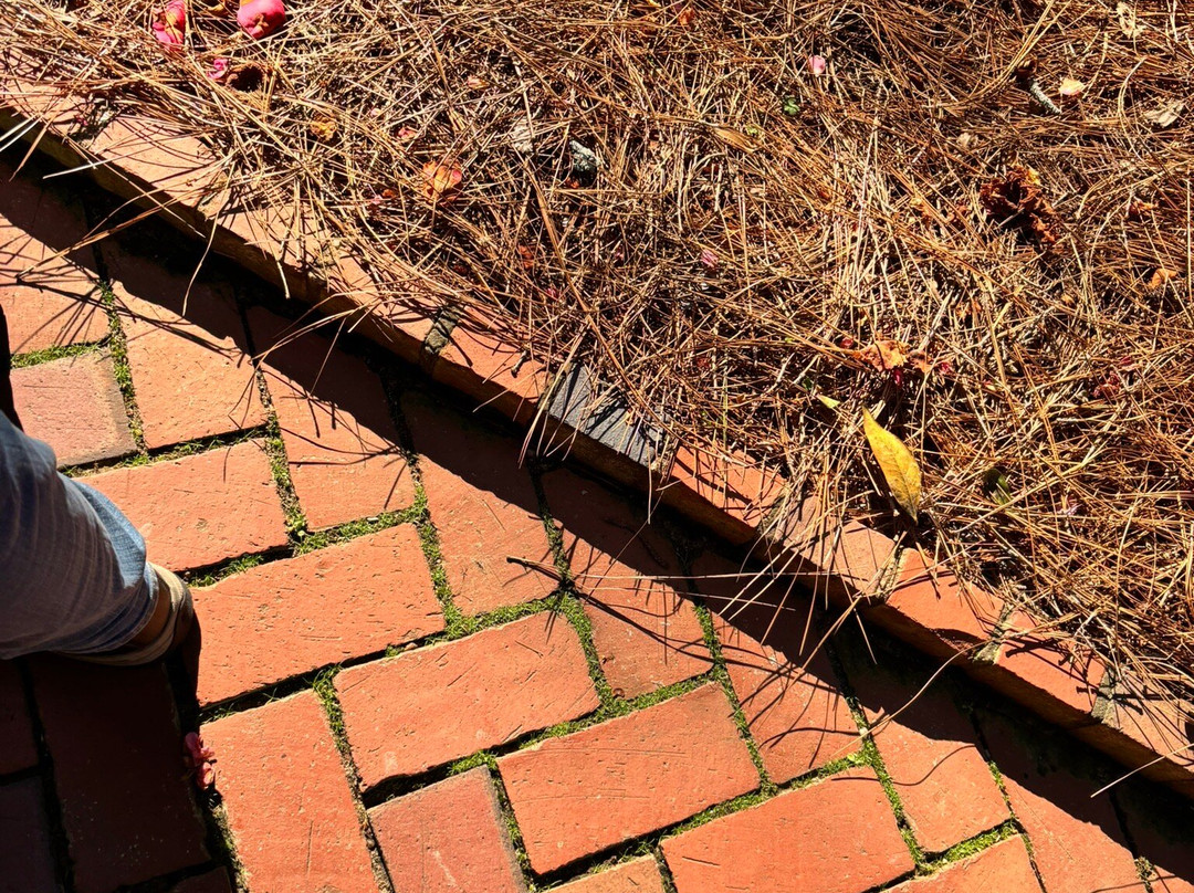 Massee Lane Gardens-Fort Valley必去景点