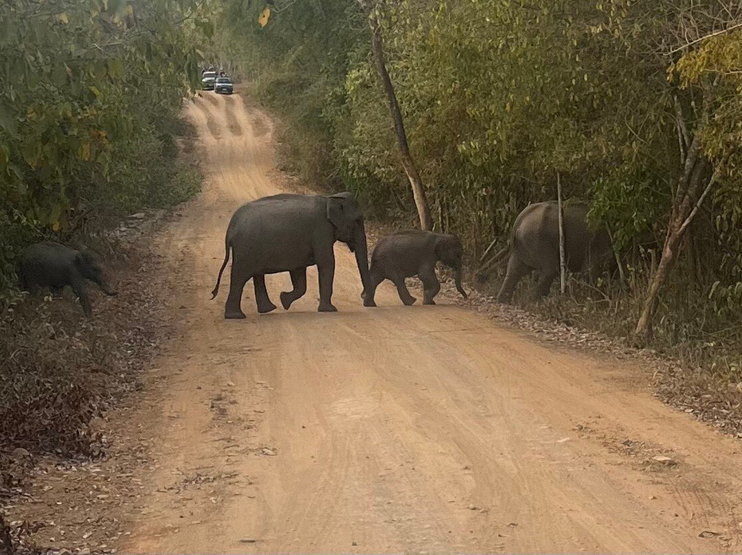 Kui Buri National Park-桂武里必去景点