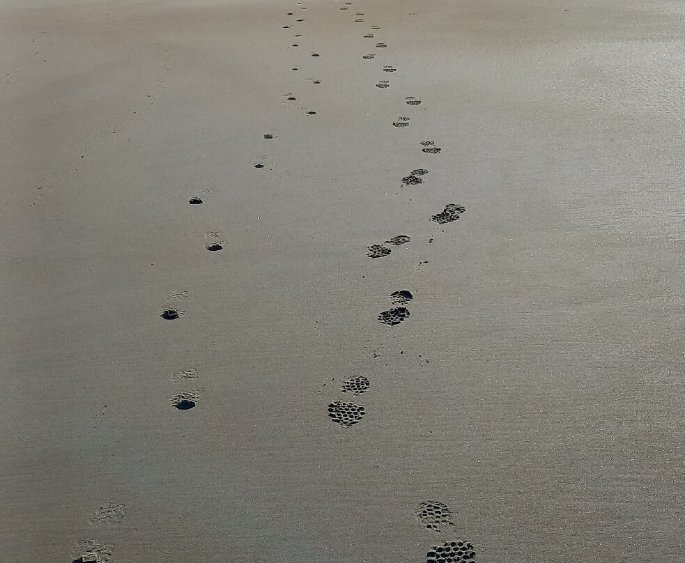 Plage de Trestraou景点图片