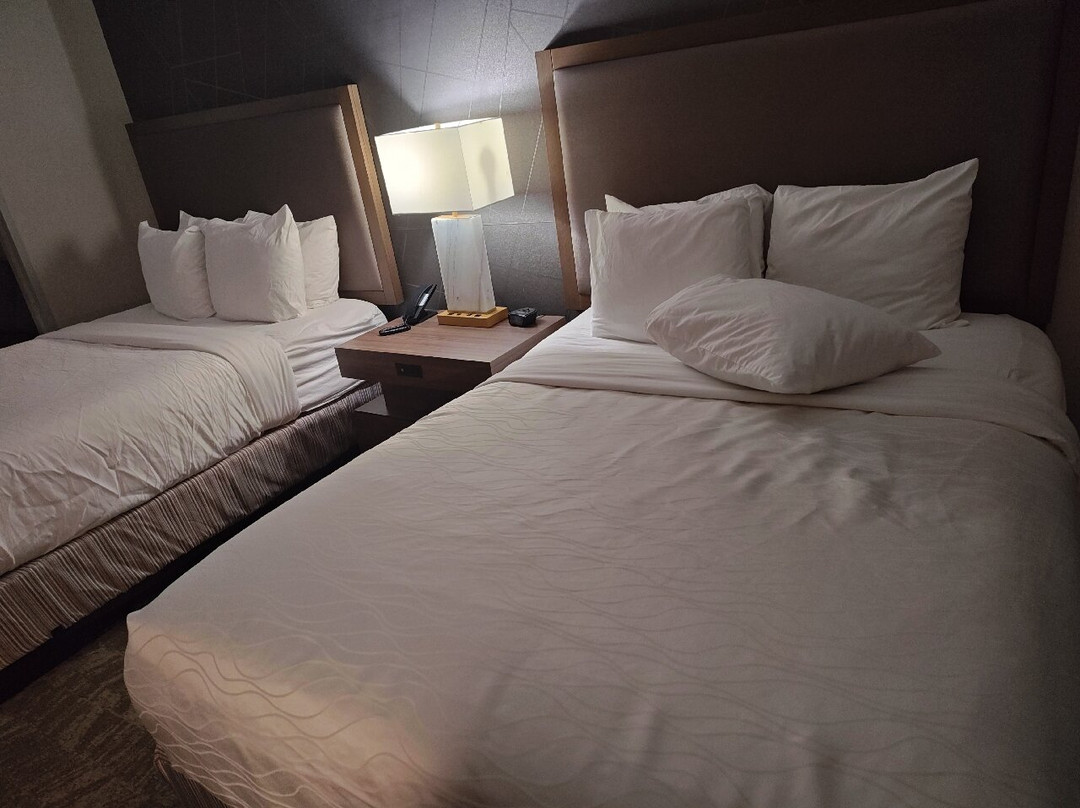 巴伦西亚贝斯特韦斯特酒店主图