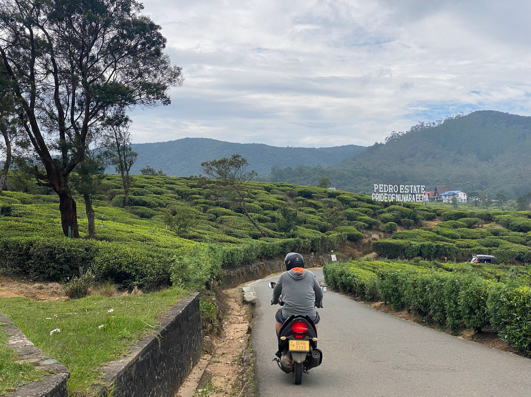 Sri Lanka Travel Partner景点图片