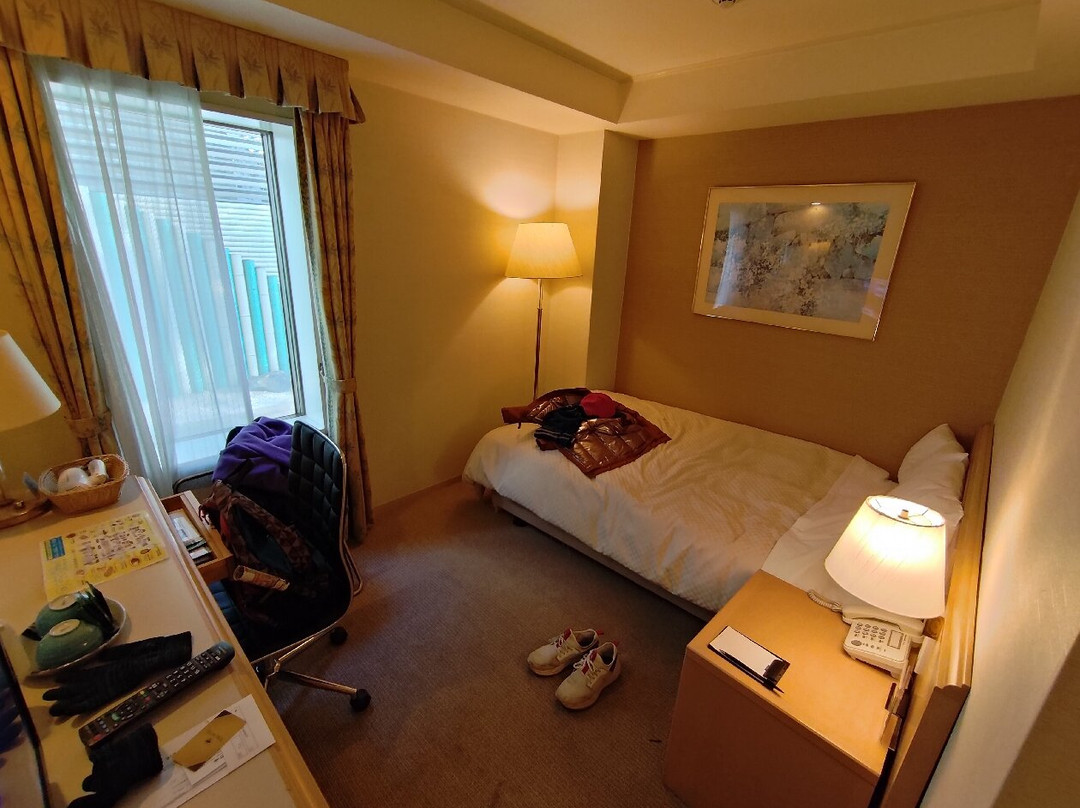 兰德东武宇都宫酒店主图