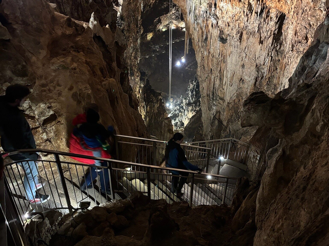 Grotta Gigante景点图片