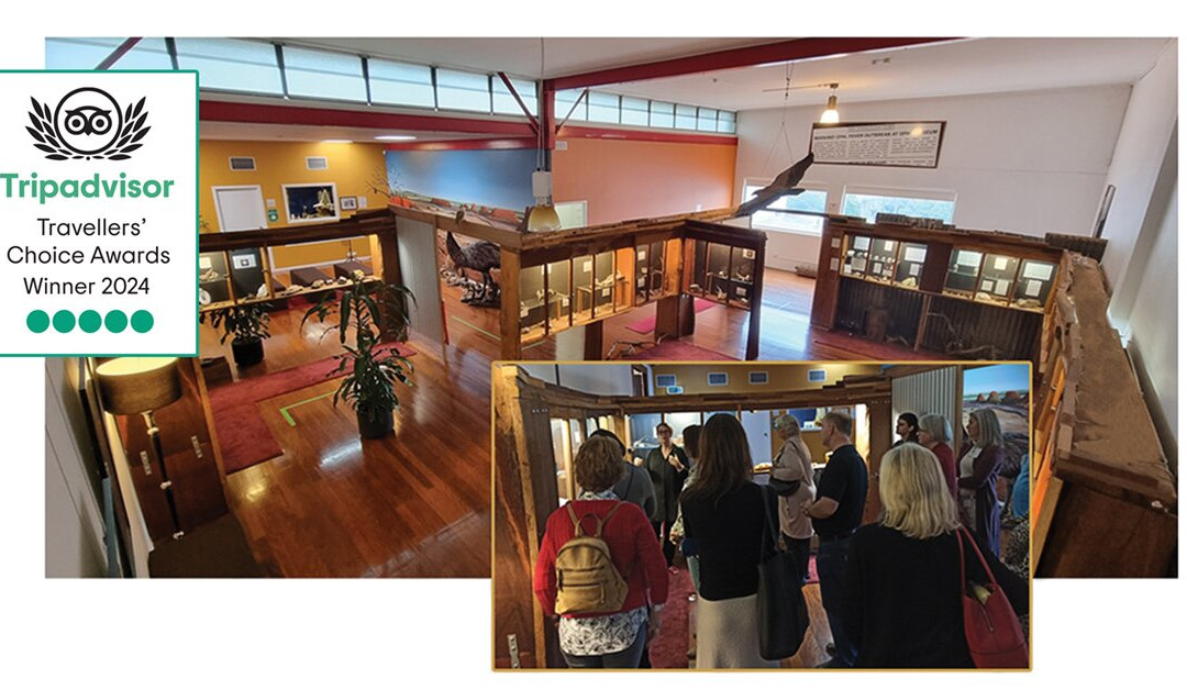 Opal Museum-布里斯班必去景点