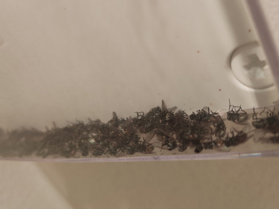 塔尔贝索假日乡村酒店 - 公寓酒店主图