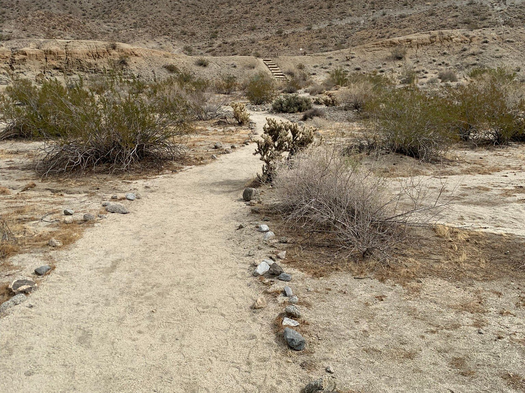 Randall Henderson Loop Trail-棕榈沙漠必去景点