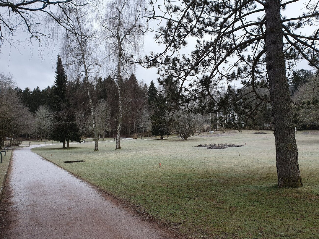 Kur Park