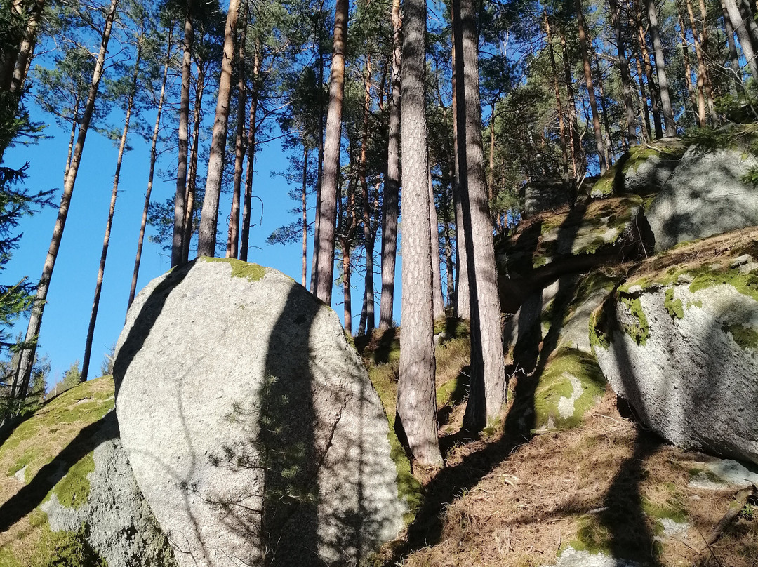 Gesundheitshotel Klosterberg主图