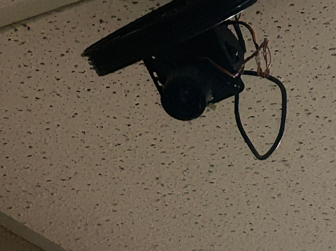 Super 8 by Wyndham Bowling Green North主图