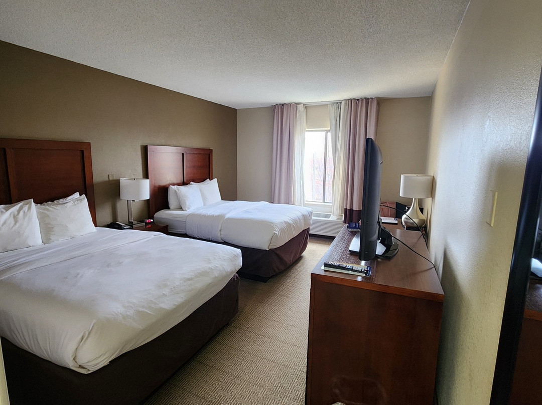 Comfort Inn & Suites主图