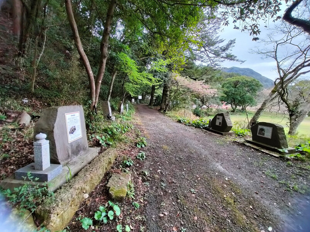 Kuwashihoko Shrine景点图片