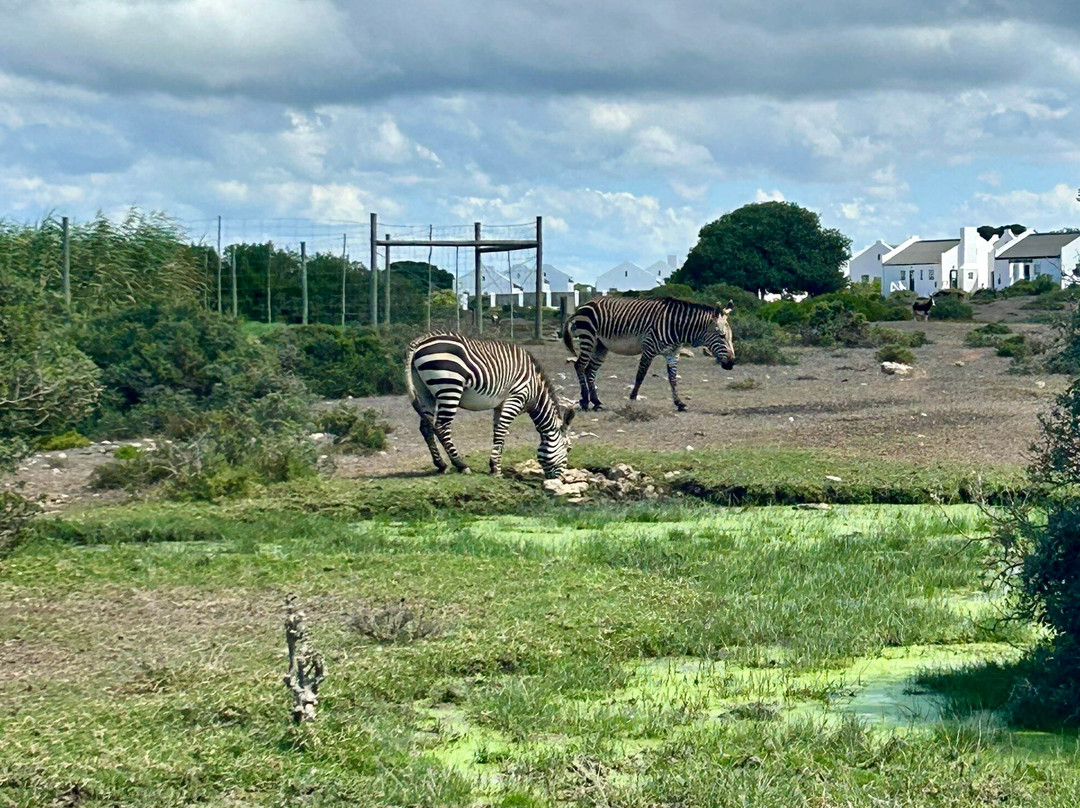 De Hoop Collection - Opstal Houses主图
