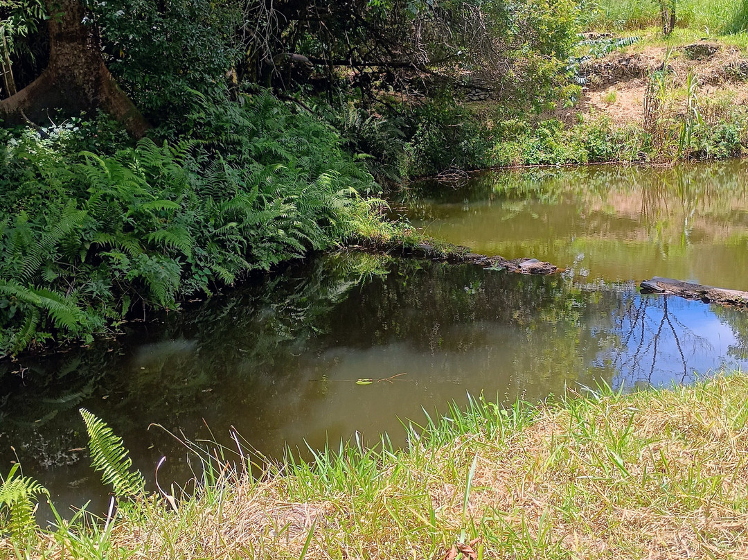 Balneário do Morro D'Água Quente-Catas Altas必去景点